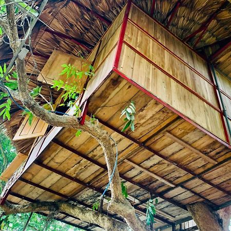 Muong Retreat- Nghi Duong Xanh Trong Bao Tang Van Hoa Nghe Thuat,Hoa Binh Hotel Eksteriør billede