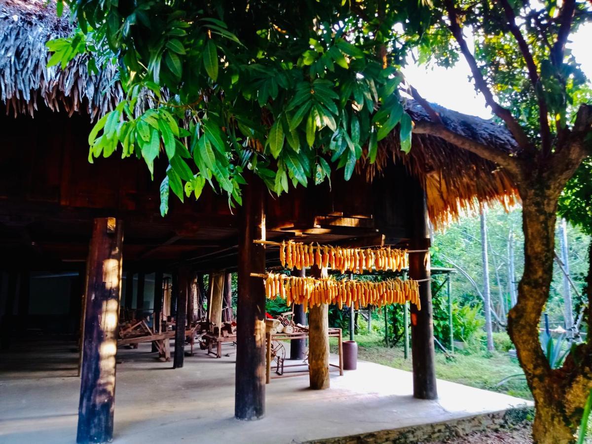 Muong Retreat- Nghi Duong Xanh Trong Bao Tang Van Hoa Nghe Thuat,Hoa Binh Hotel Eksteriør billede